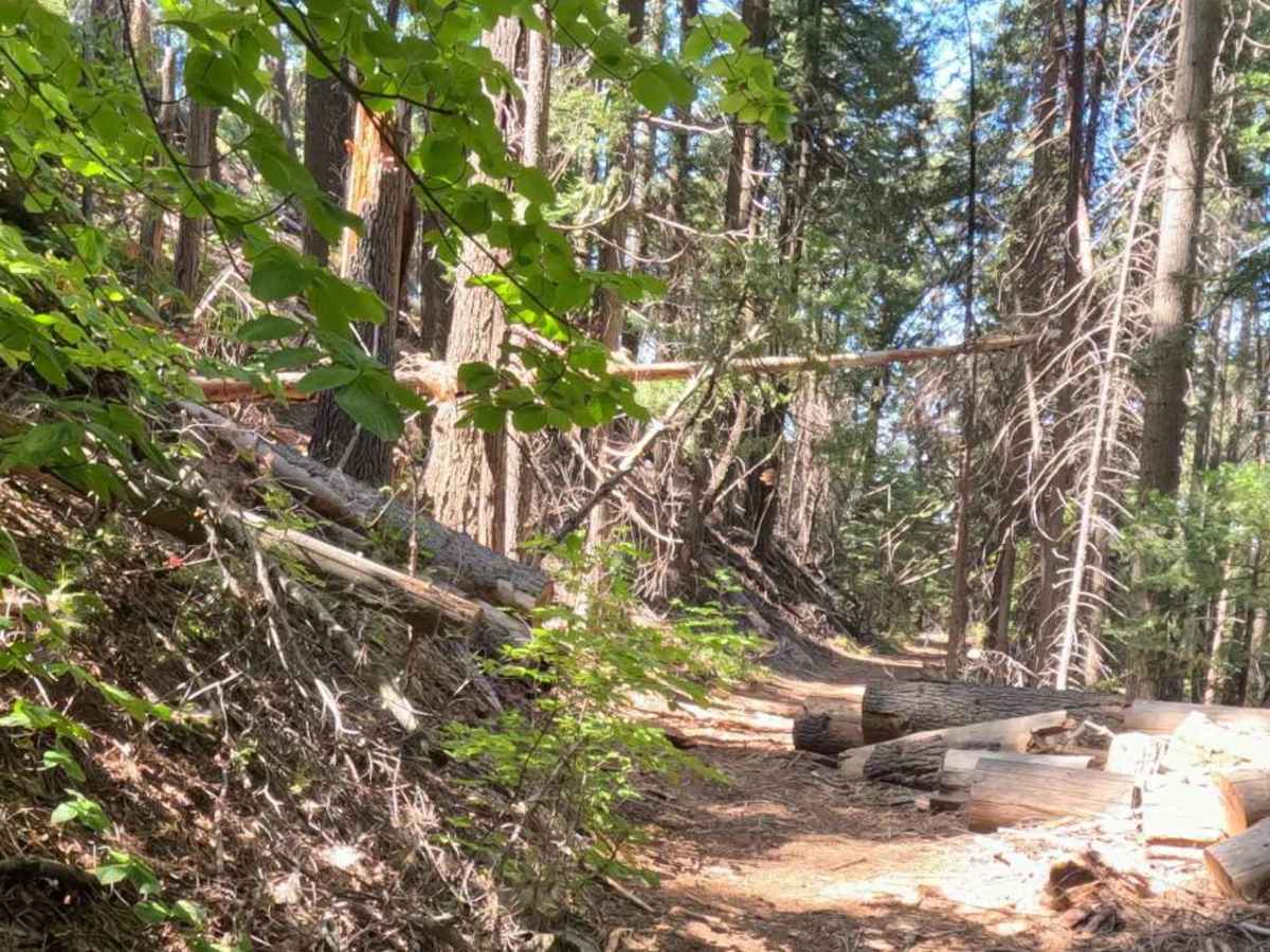 Grant Grade Tollroad II - FS 5S020X photo 6