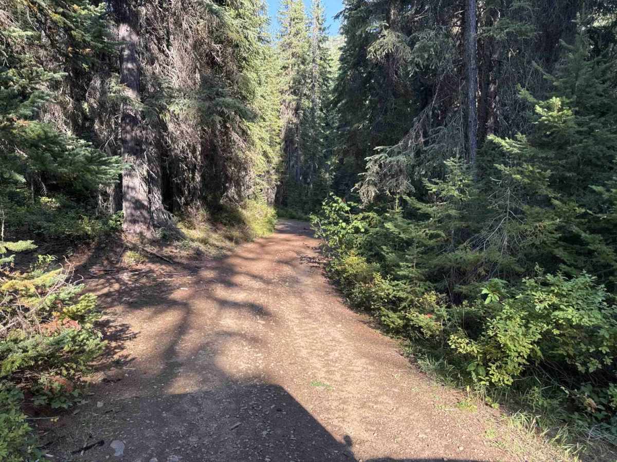 4W-7736 - Big Flat Trail photo 4