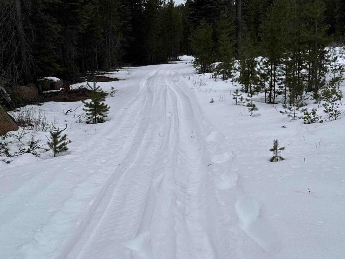 FS 4133-000 trail photo