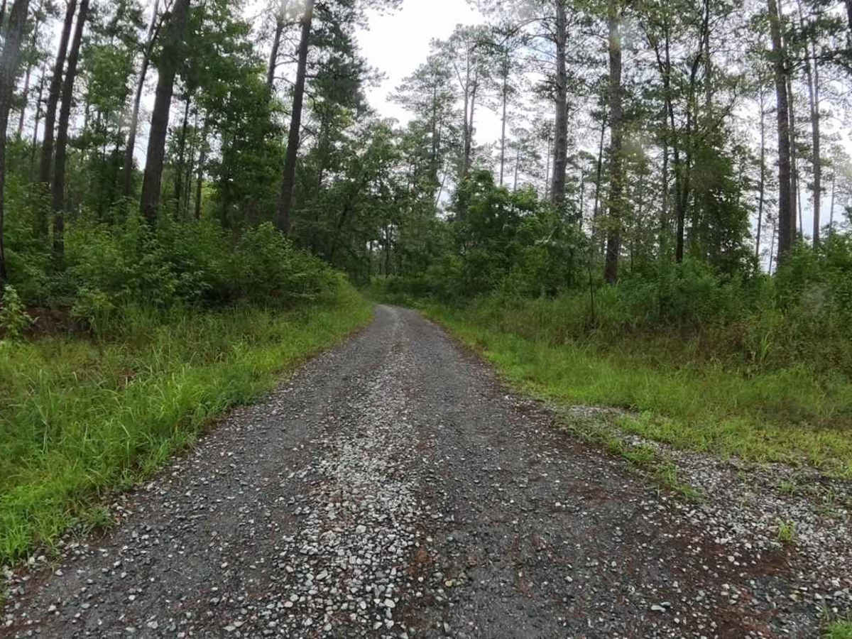 Sugar Hill Road trail photo