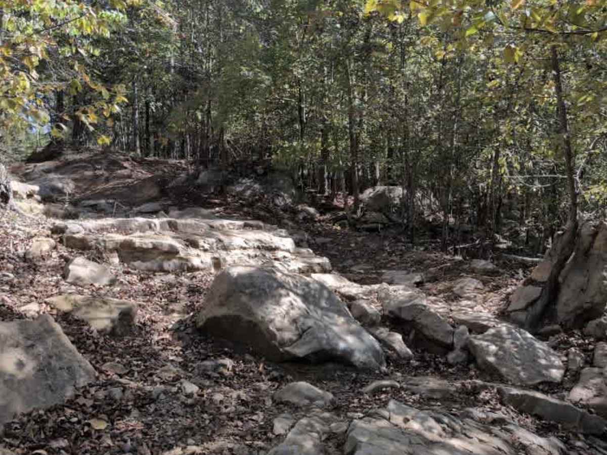 #20 Sidewinder trail photo