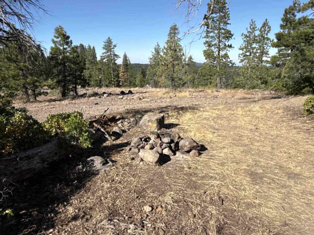 FS 3N21Y trail photo