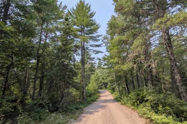Hanson Lake Road