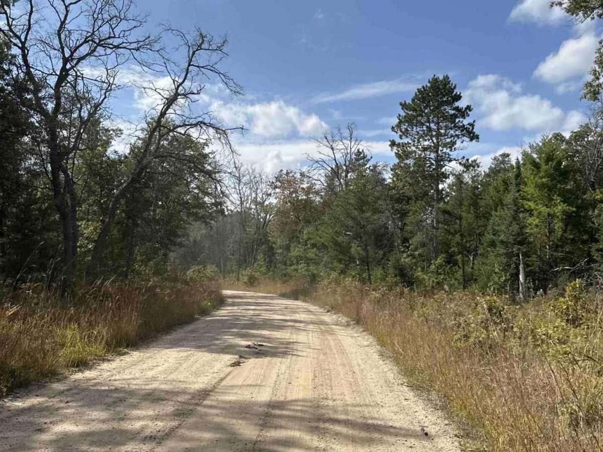 FS 4423 trail photo