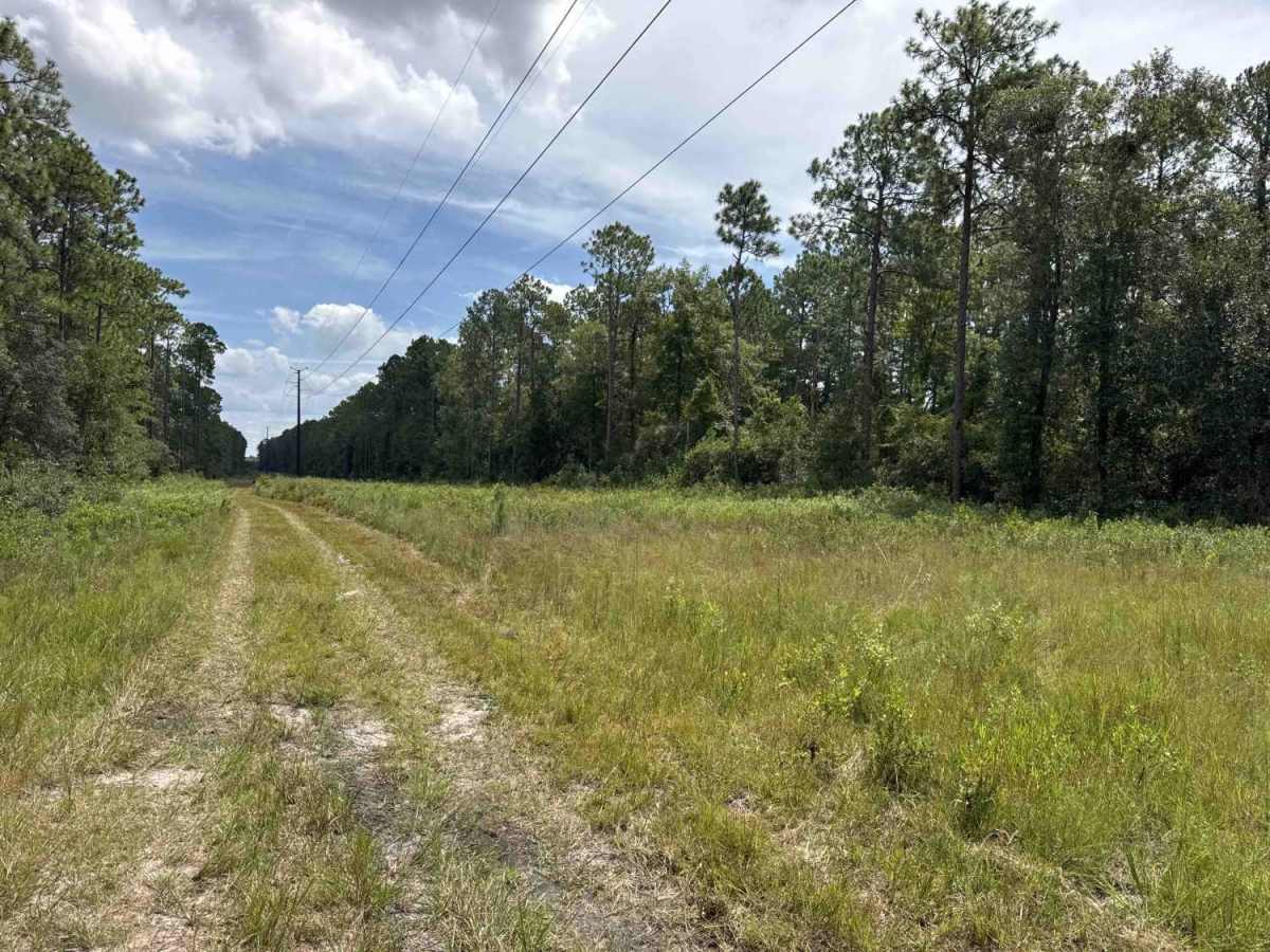 South Powerline Road photo 2