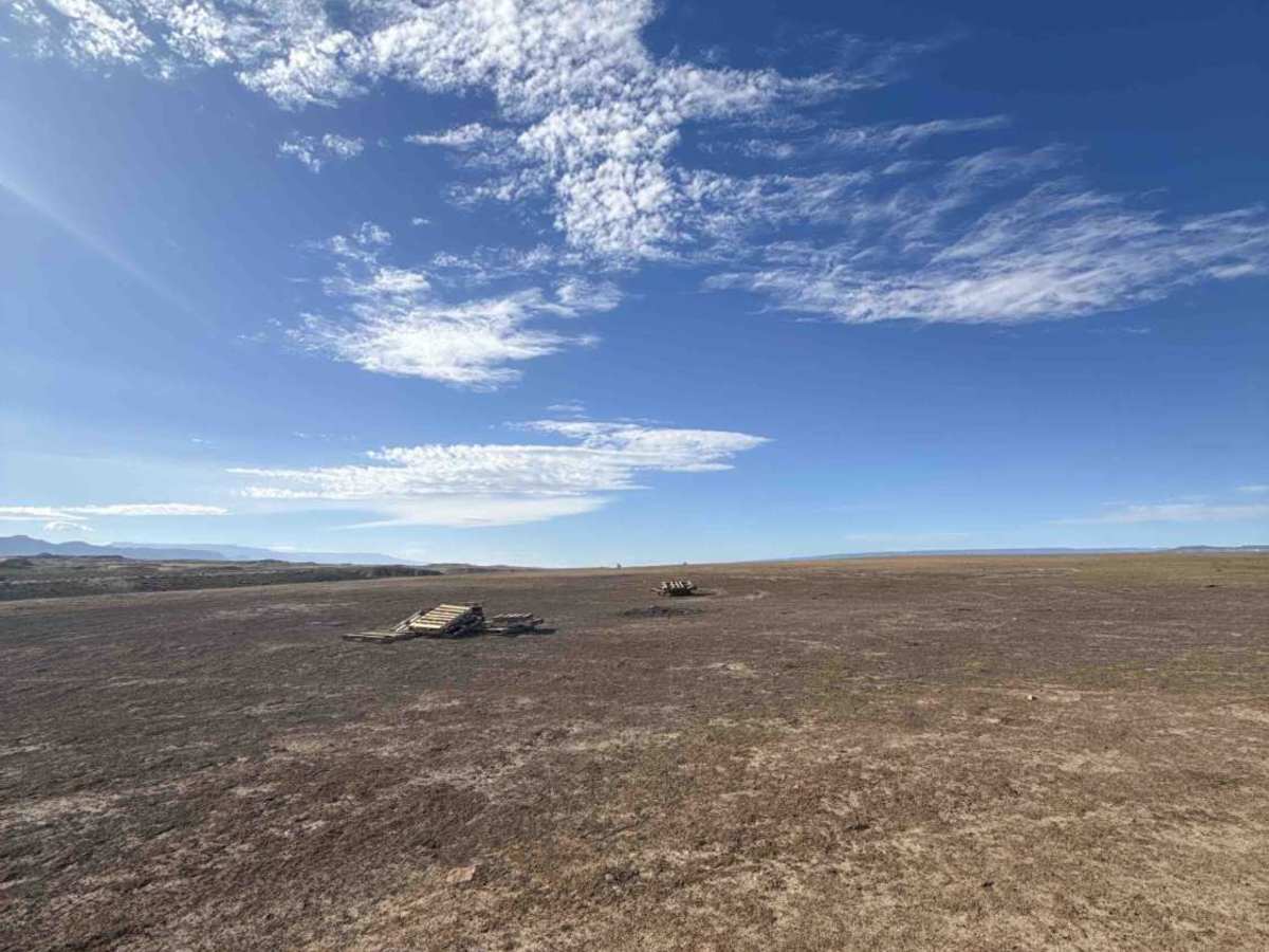 BLM 181 photo 4