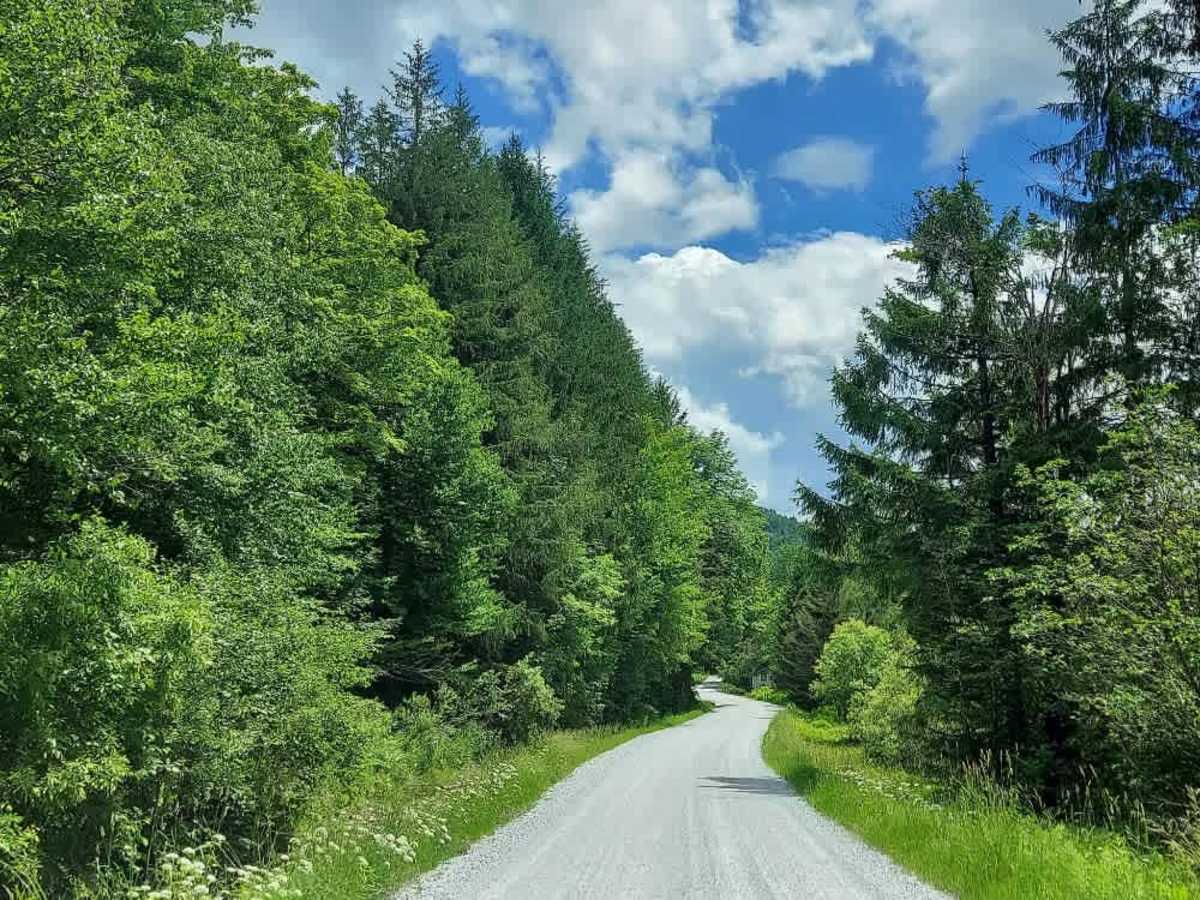 Hale Hollow Road photo 2