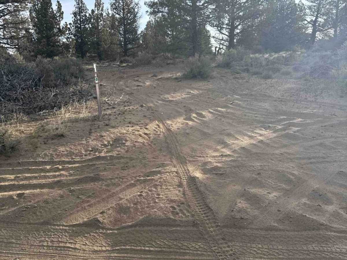 84 trail photo