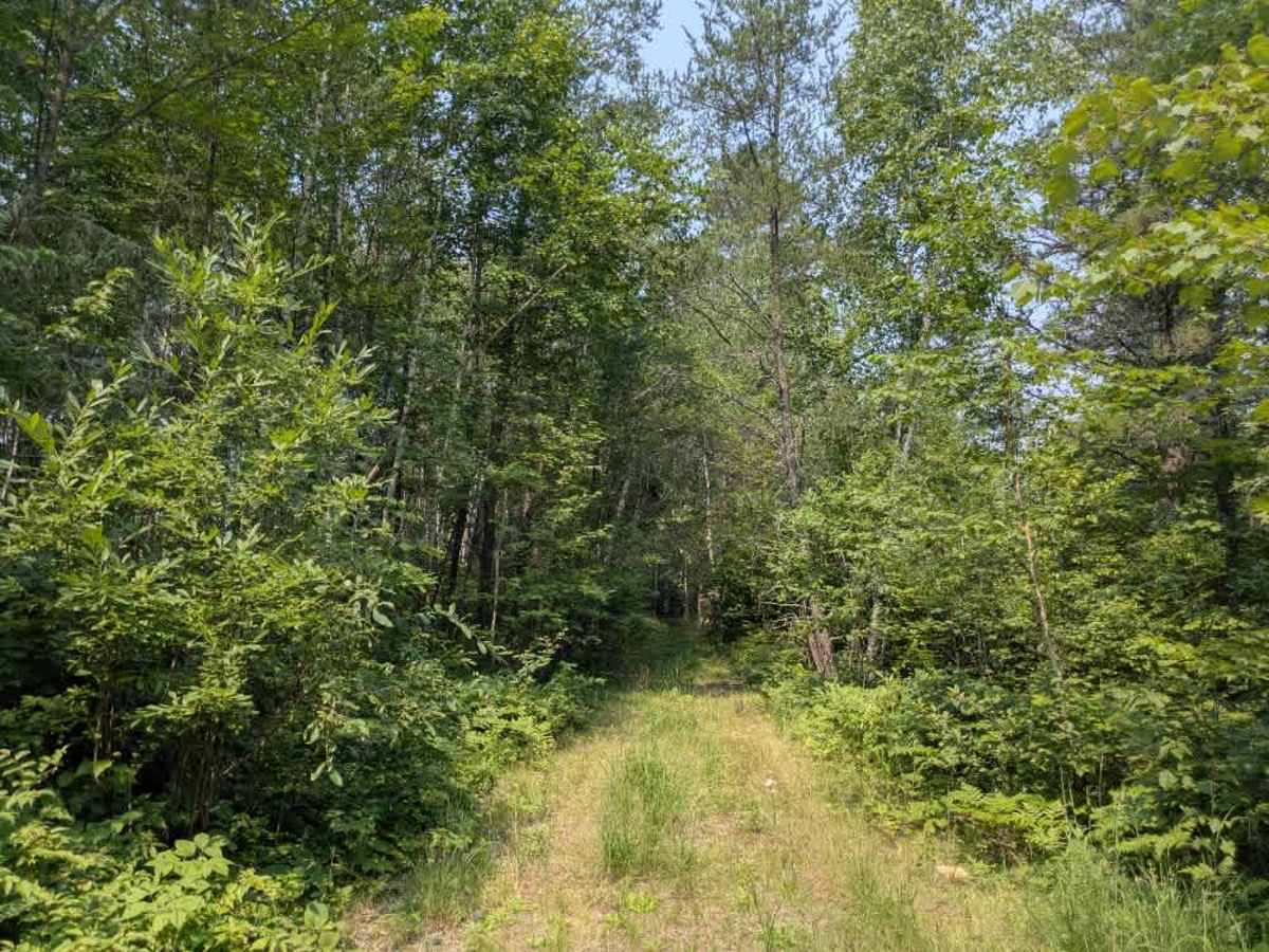 High Lake Road photo 5