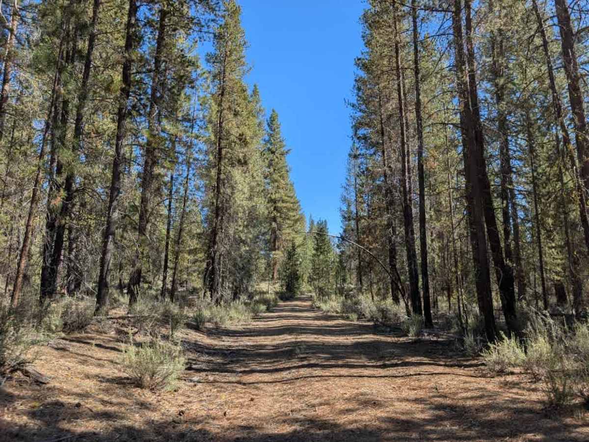 FS 8676010 trail photo