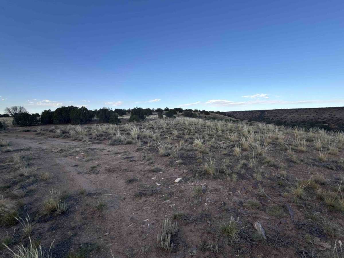 Little Buck Road photo 5