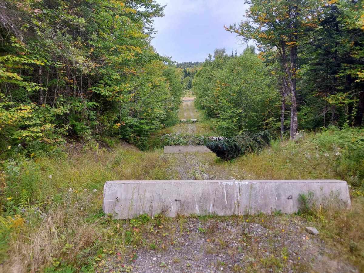 Schoppe Brook Road photo 6
