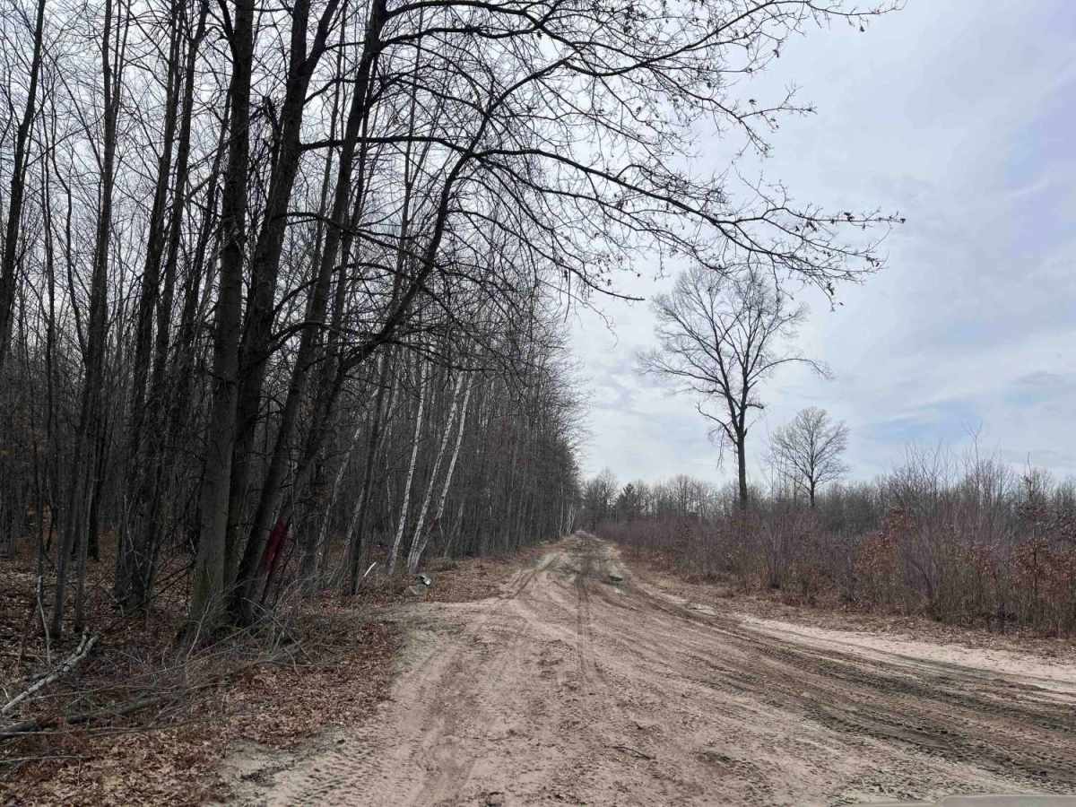 West Olson Trail photo 5