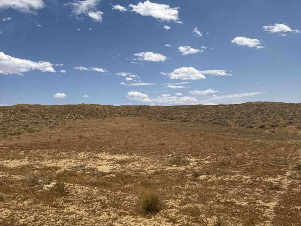 BLM 164 photo 4