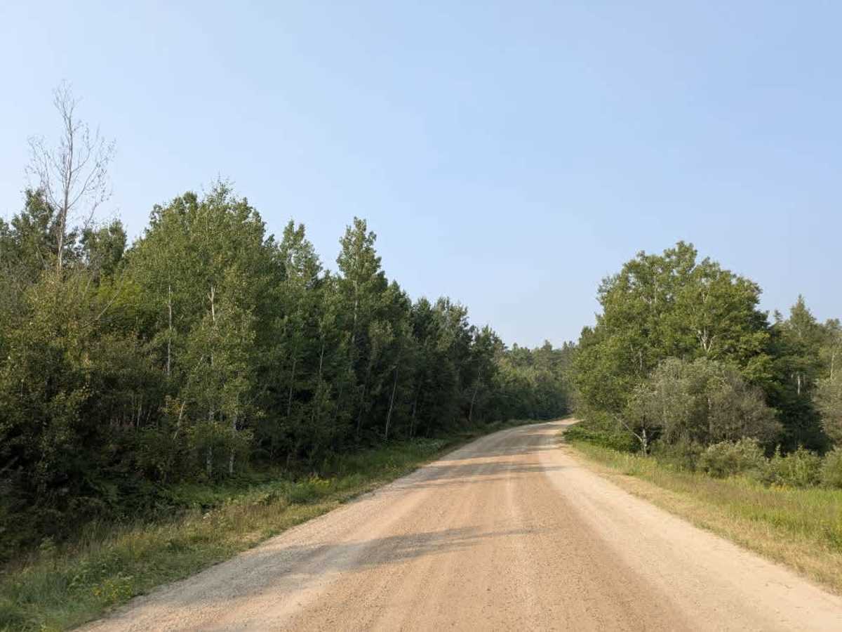 Niles Bay Forest Road photo 2