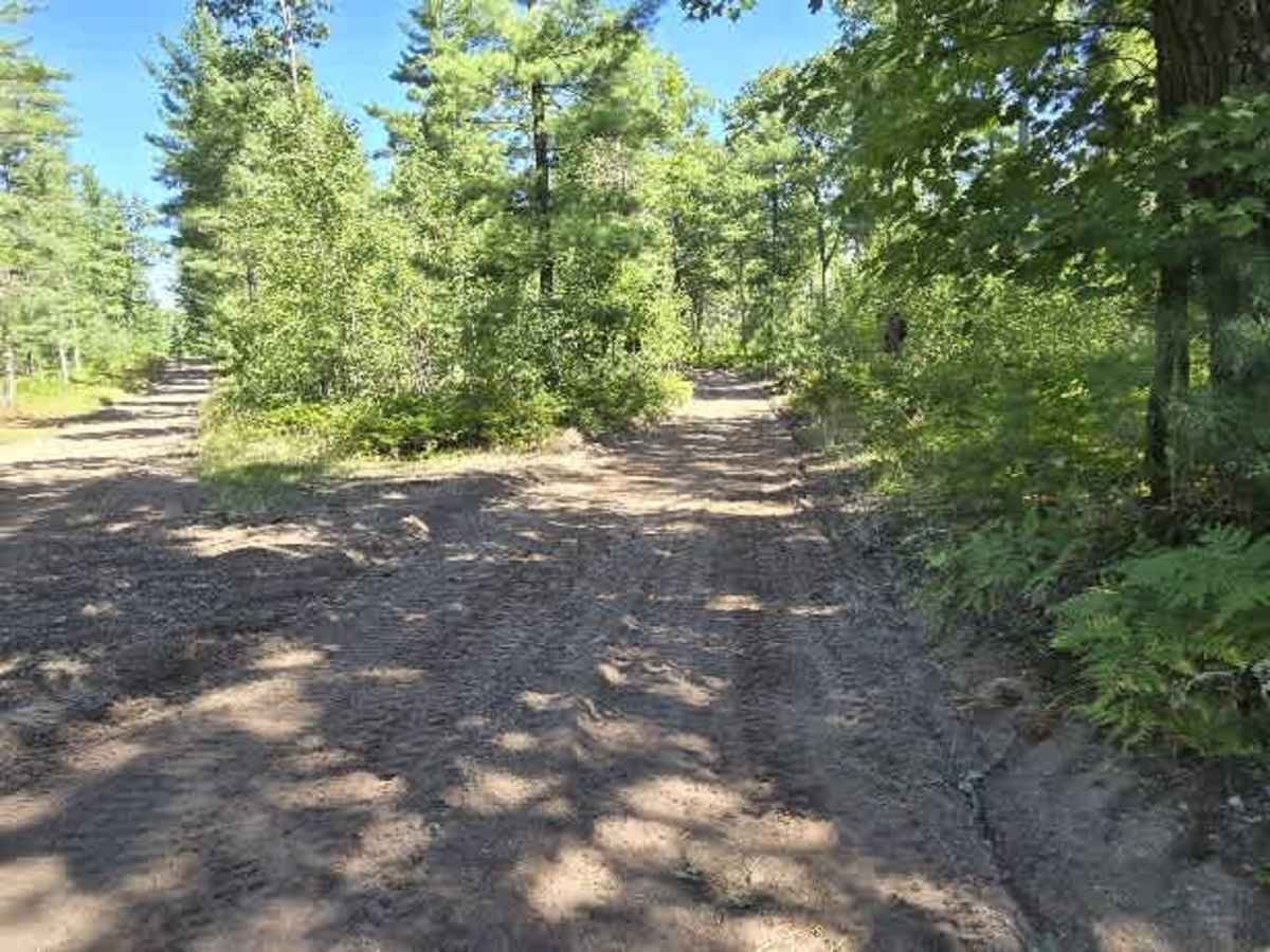 Beaver Dam Road trail photo