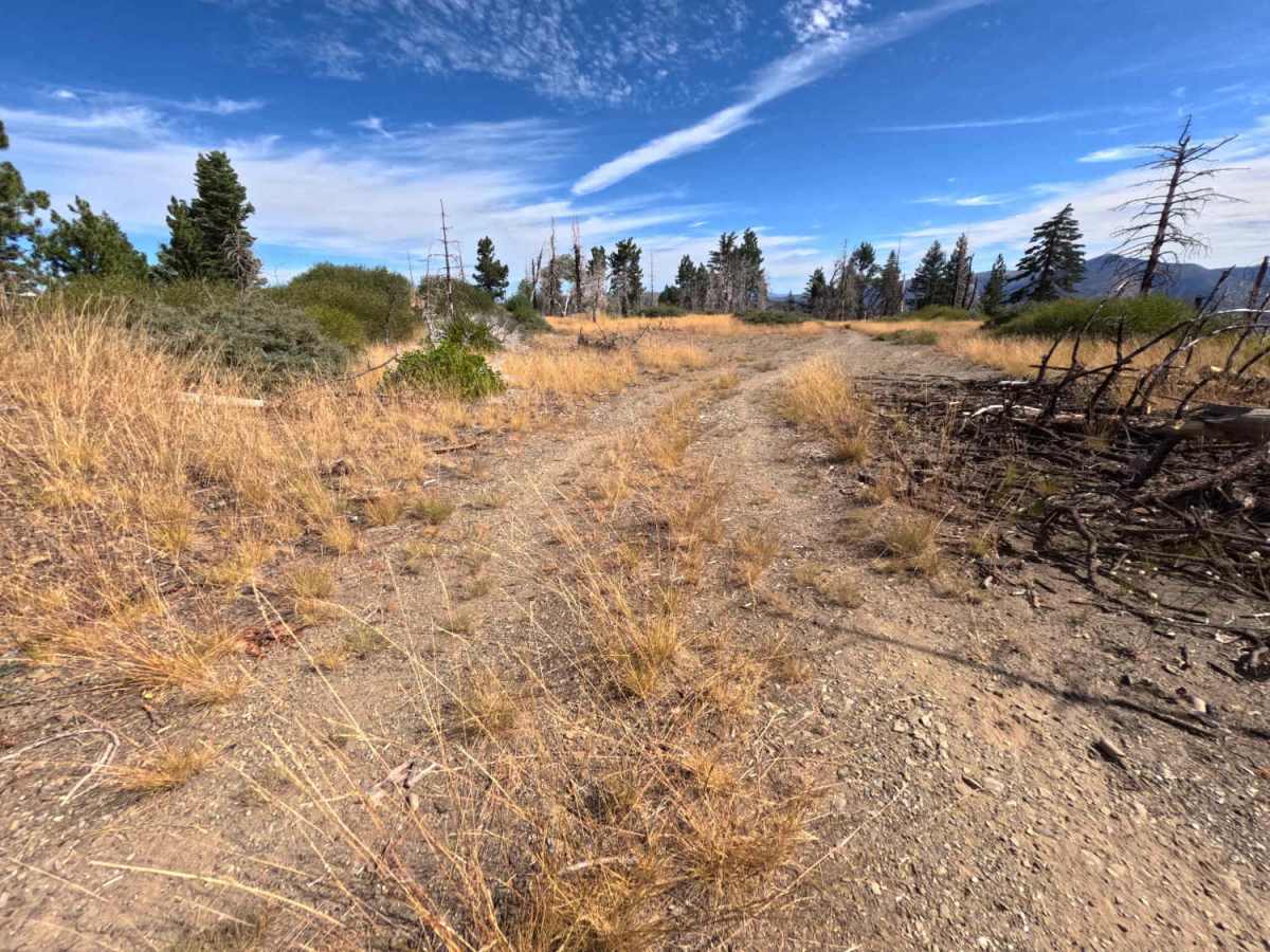 Coyote Rock - FS 20N78 photo 3