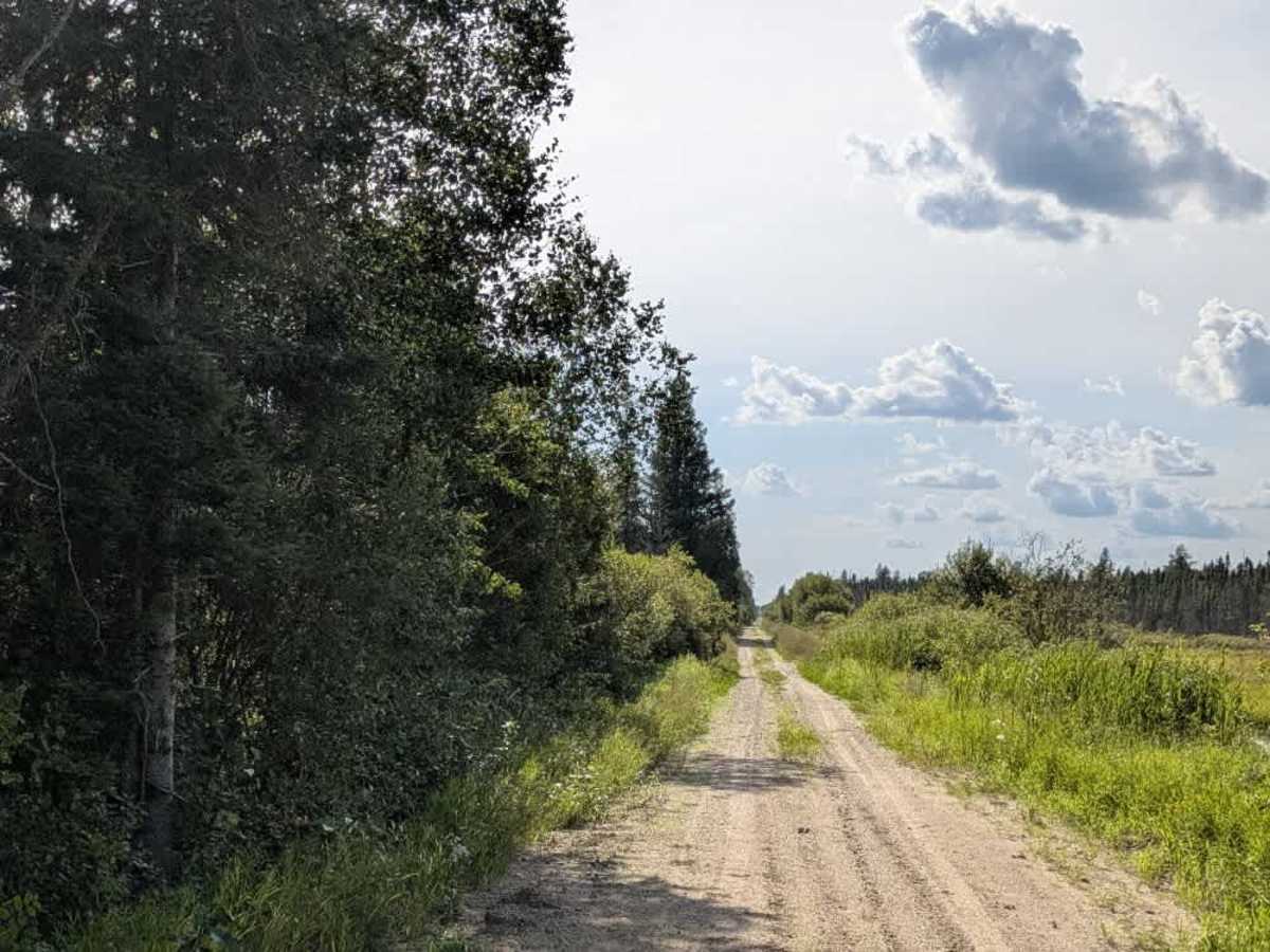 Rapid River Road trail photo