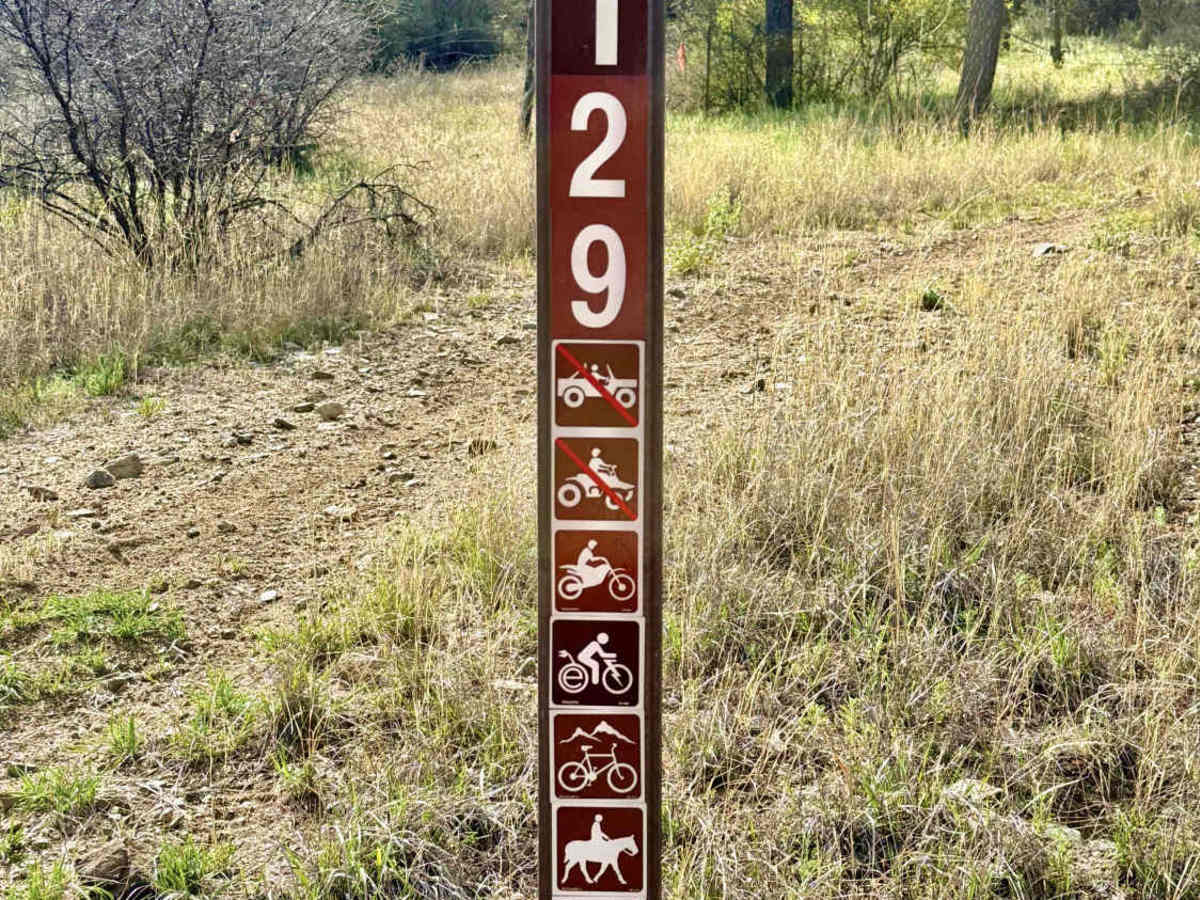 Buzzard trail photo