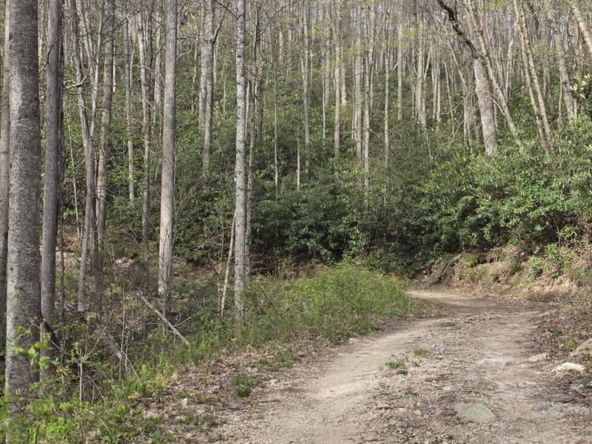 Little Pond Mountain photo 2
