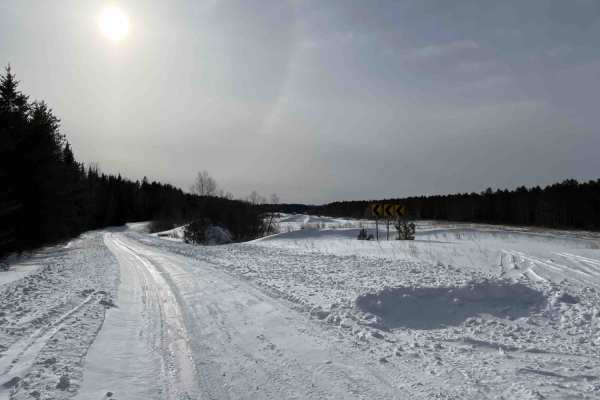 Hogsback-O'Brien Forest Road