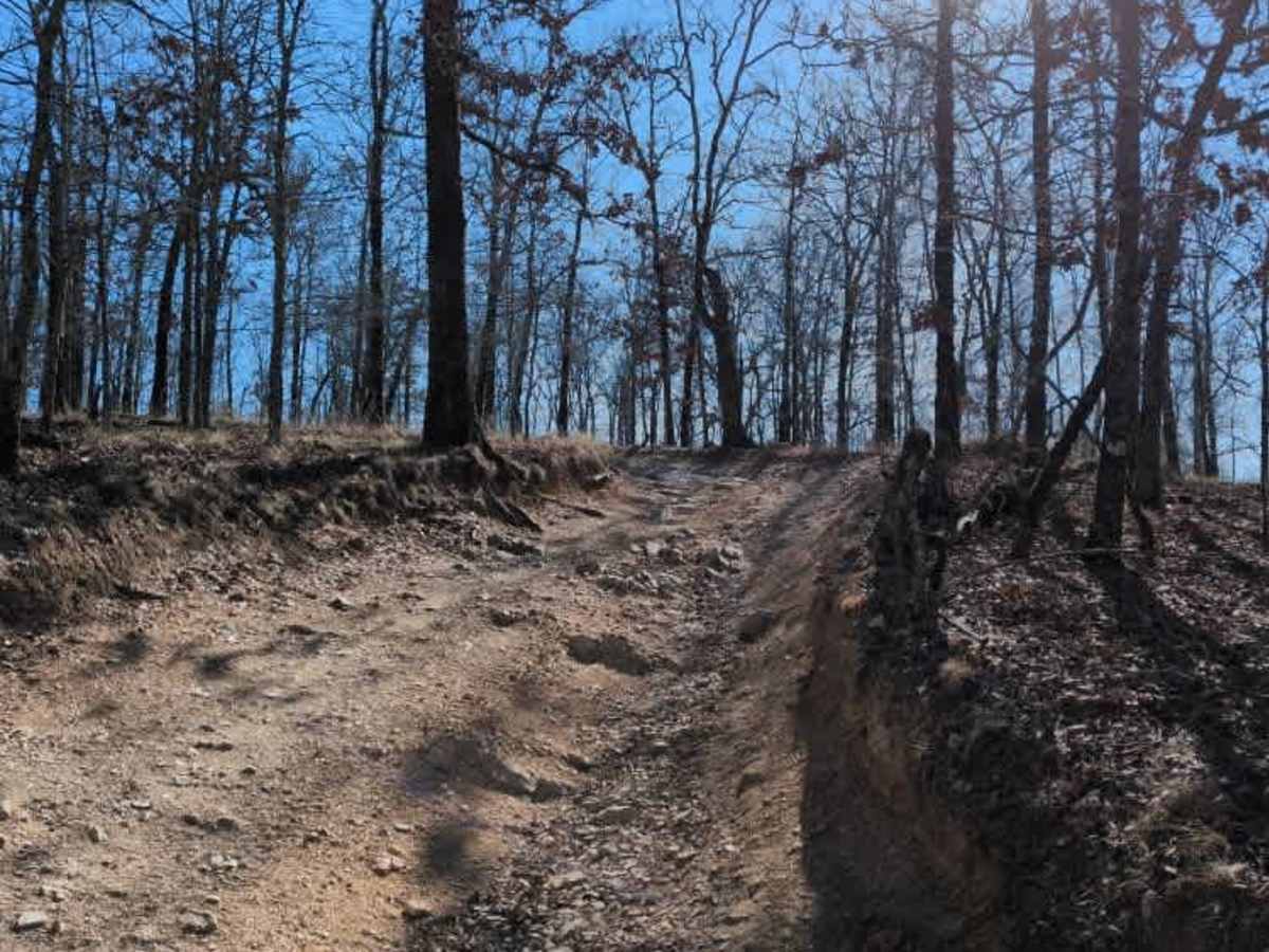 E12 Prothane Point photo 2