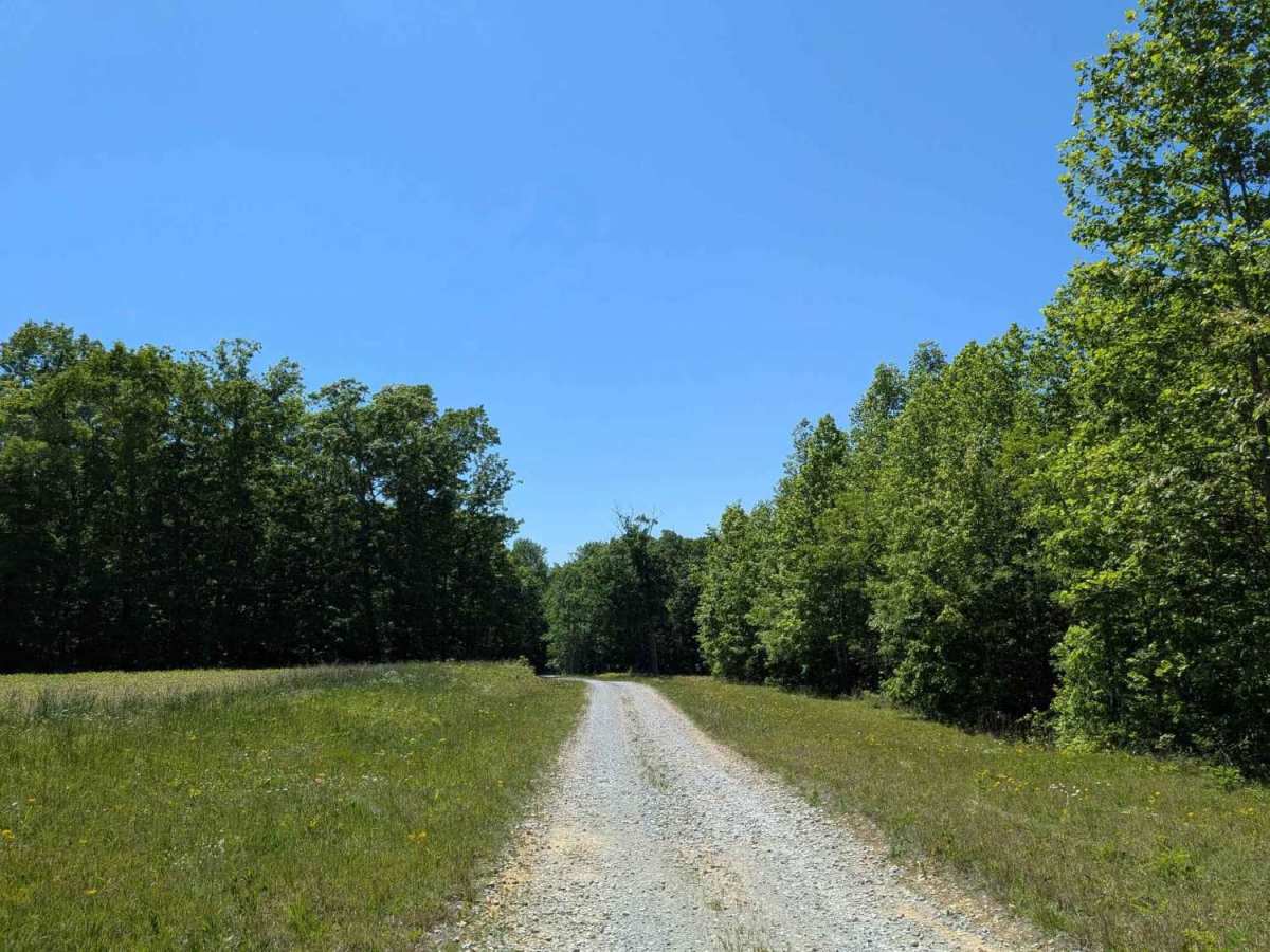 Bear Hollow Road photo 5