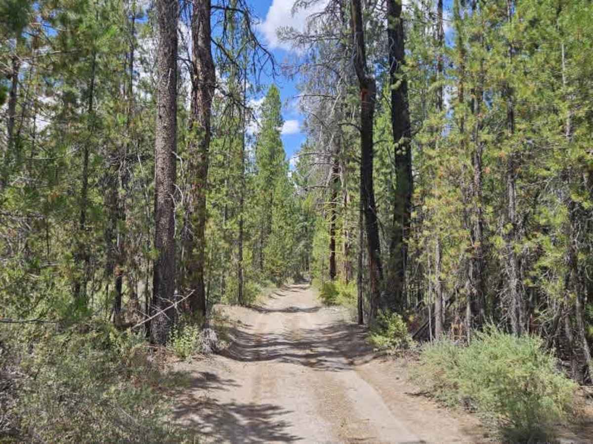 FS 4983497 trail photo