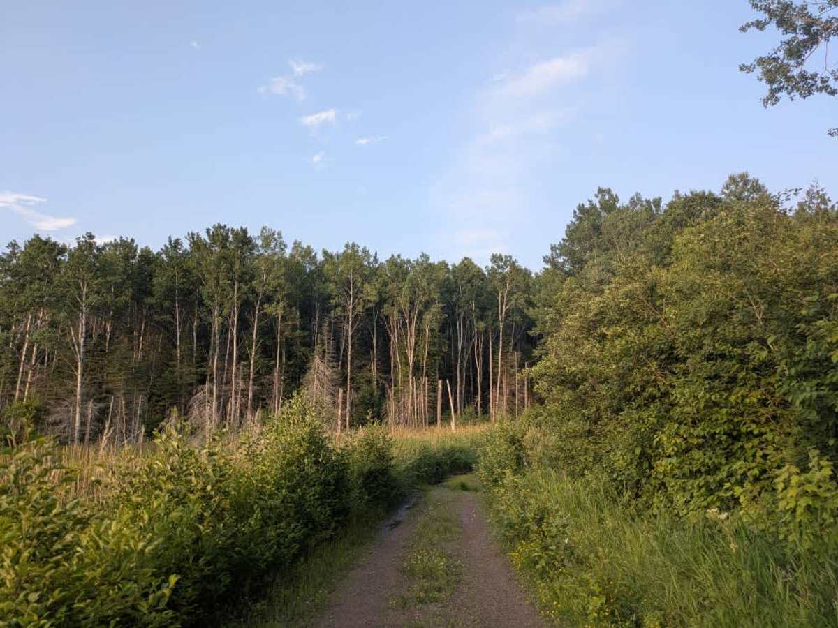 Swamp Lake photo 2