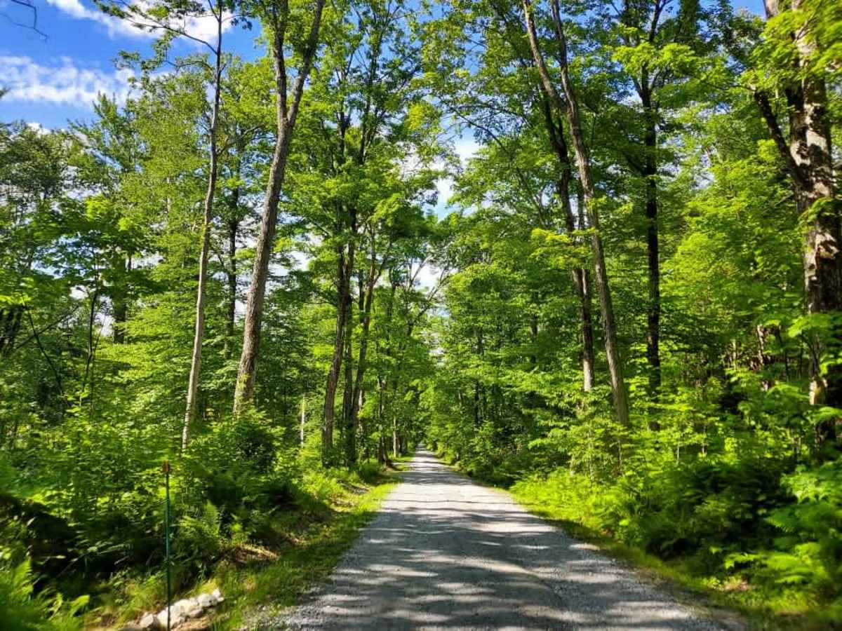 Coolidge State Park Road photo 5