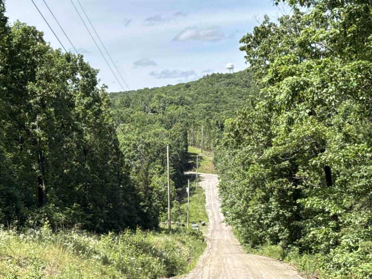 Kimes Tower Road trail photo