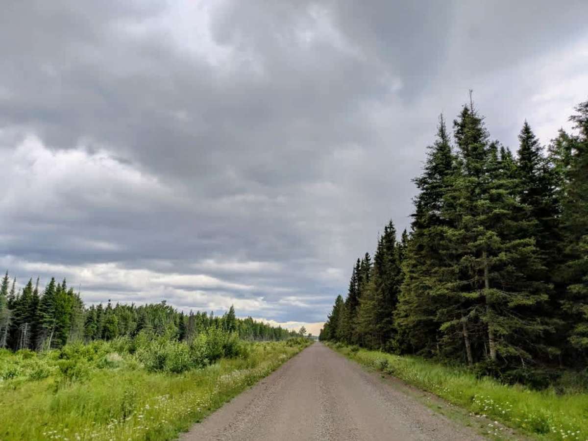 Stony River Forest Road photo 3