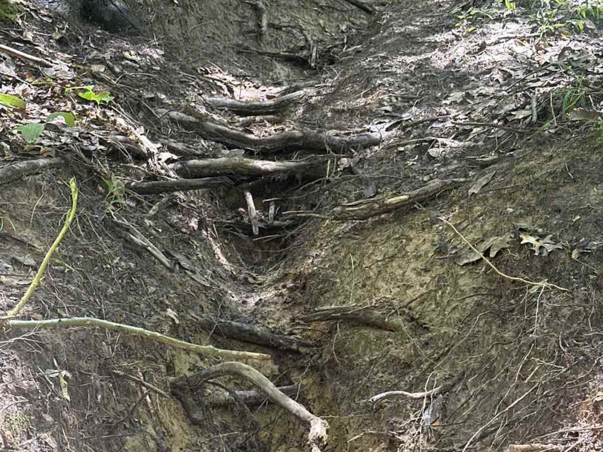 Too Easy trail photo