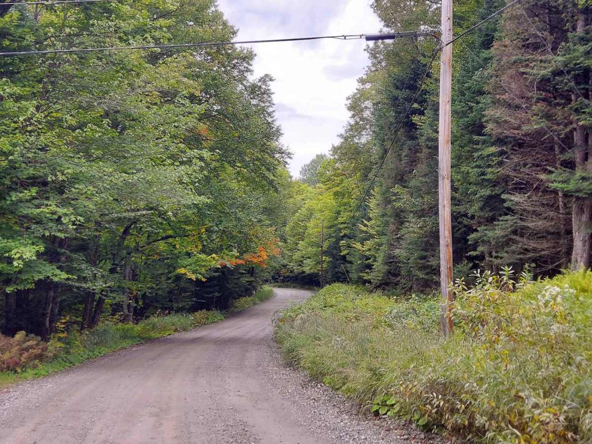 Moose Pond Road photo 3