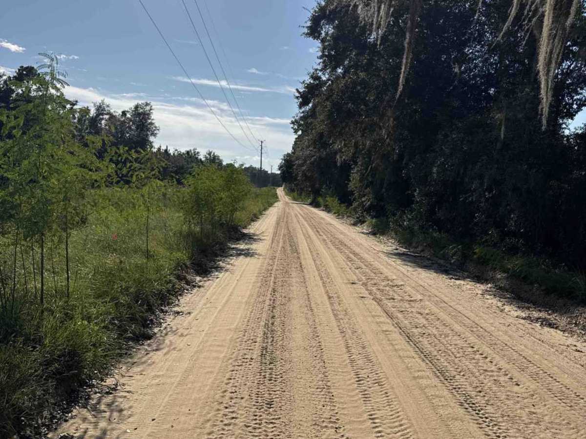 Old Starke Road photo 2