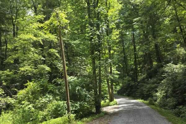 Little Greenbrier Road