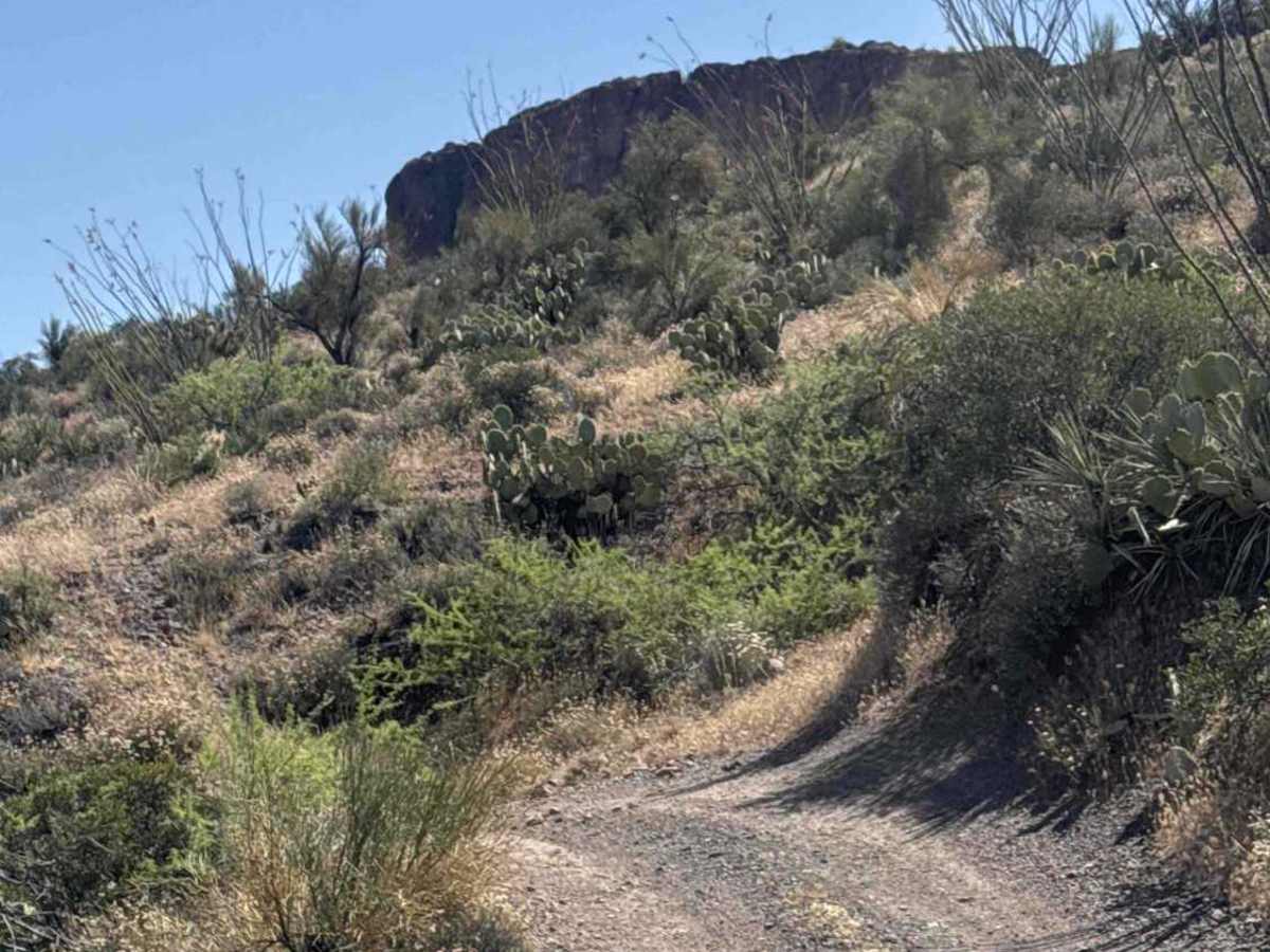 Castle Creek Road Copperopolis  photo 3
