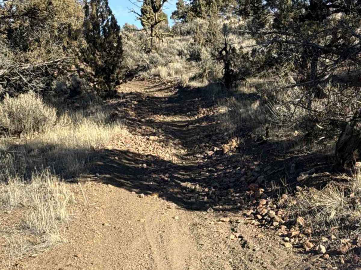 Millican Plateau OHV Trail 55 photo 6