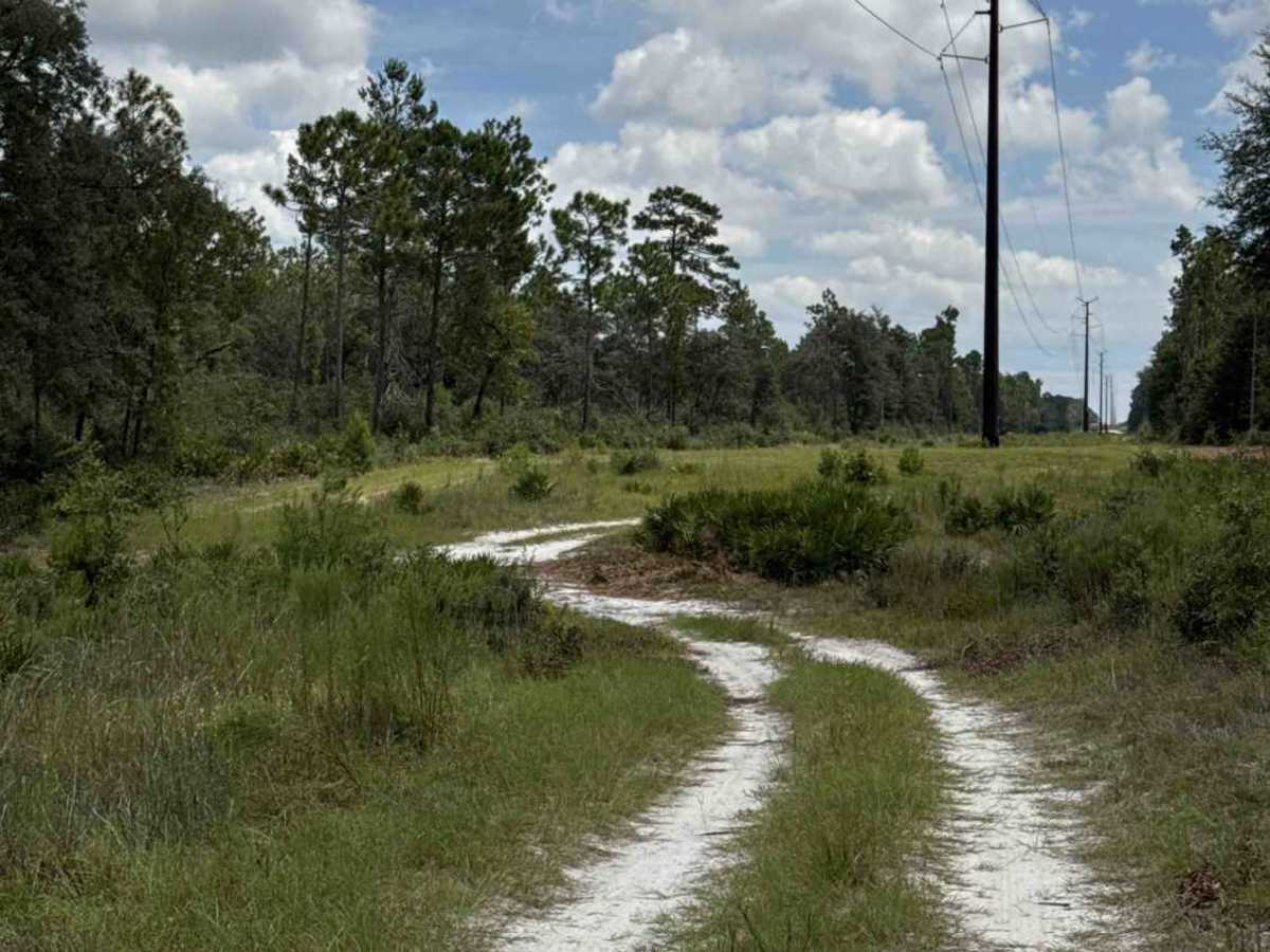 South Powerline Road photo 5