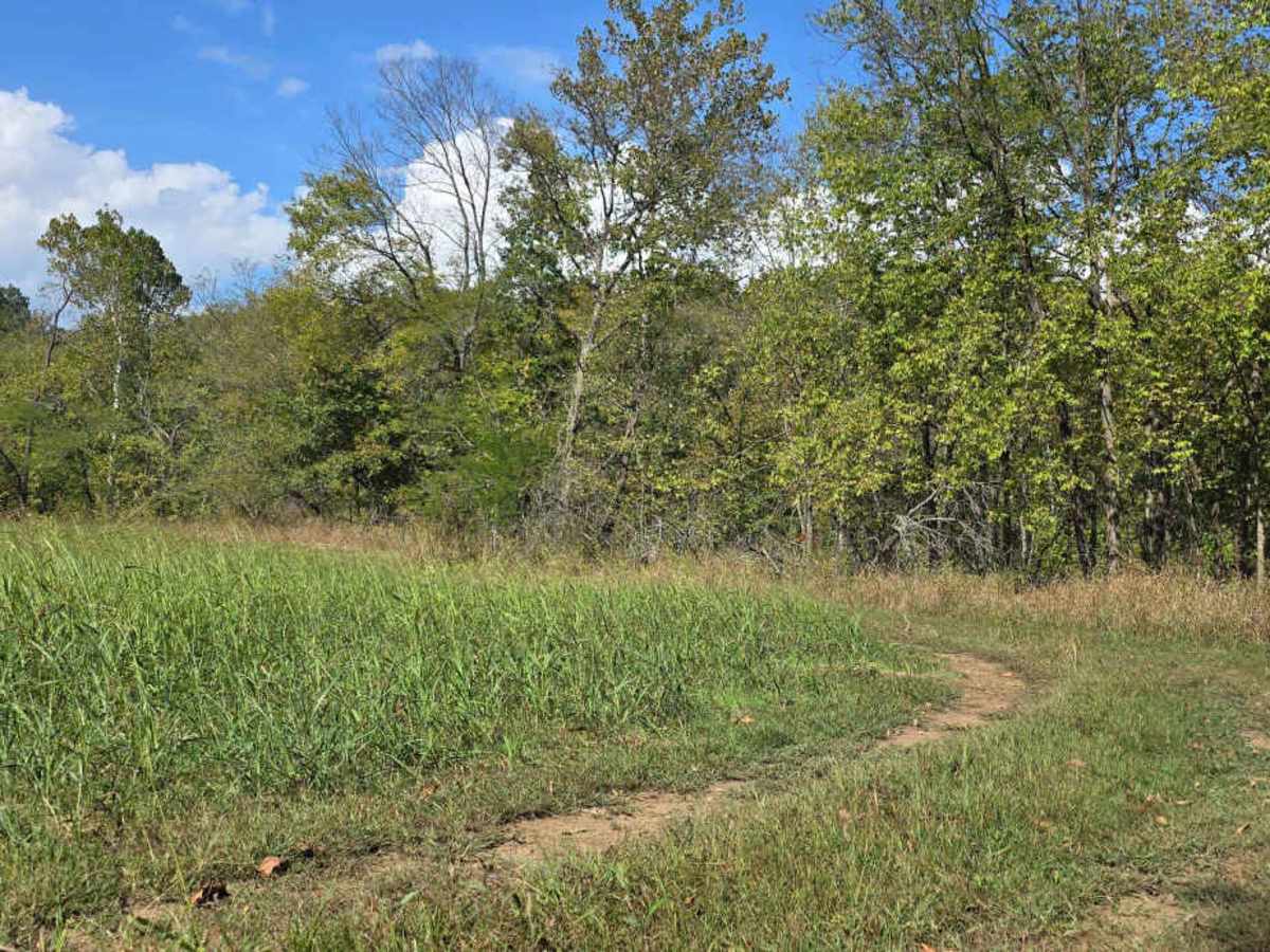 Hay Field Trail photo 4