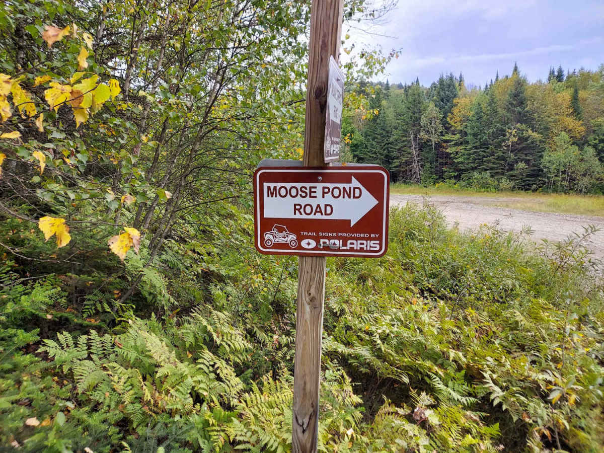 Moose Pond Road trail photo