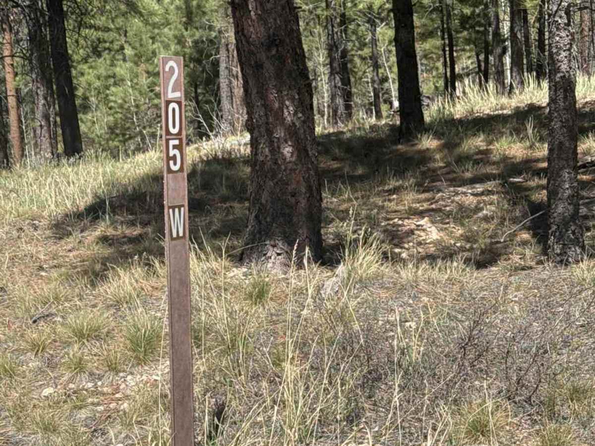 FS 205W trail photo