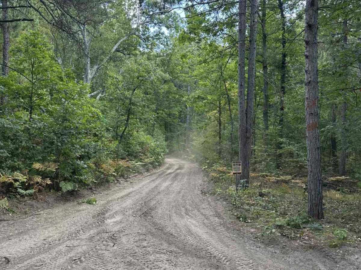 FS 2143 trail photo