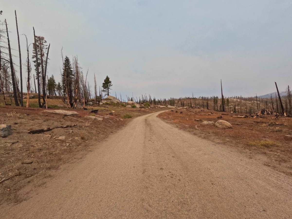 Lodgepole - FS 9s027 photo 5
