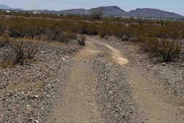 Palo Verde Run 