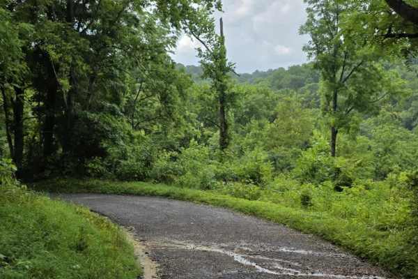 Beech Grove Road - Macon County Tour