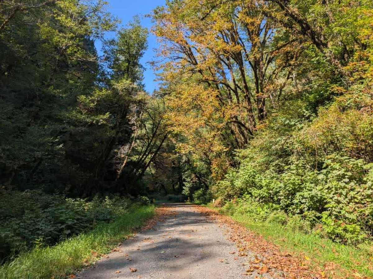 FS 5110 trail photo
