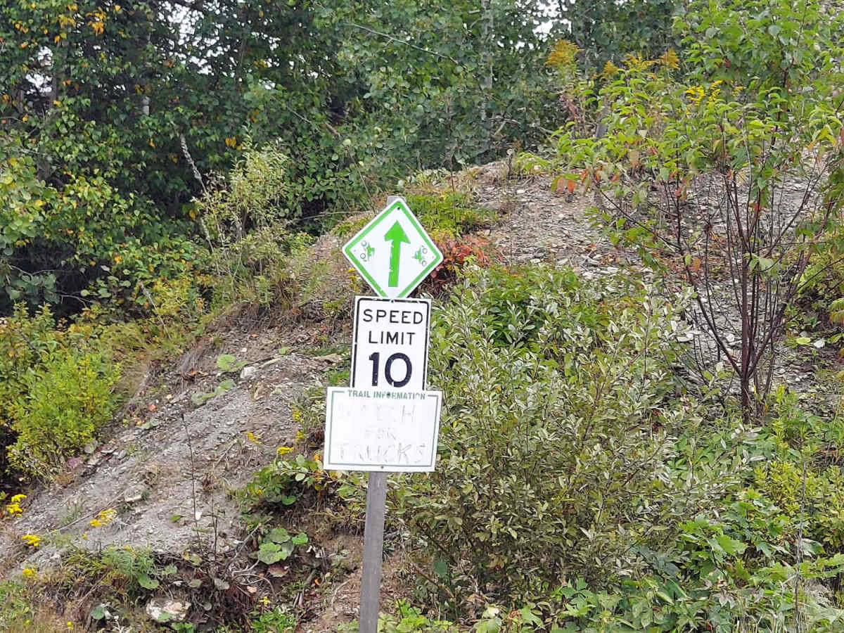 Arthur Scott Road photo 5