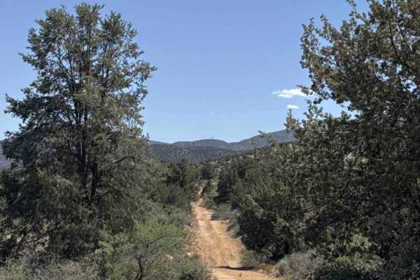 Lower Mine Trail 