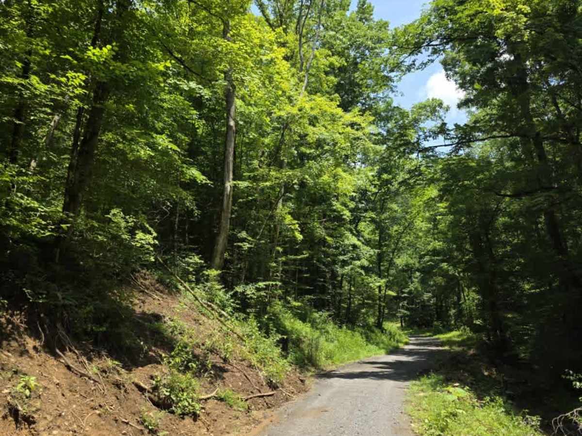 Sneed Hollow Road photo 5